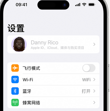 安次appleID维修服务iPhone设置中Apple ID显示为灰色无法使用