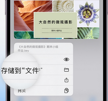 安次apple维修中心分享iPhone文件应用中存储和找到下载文件