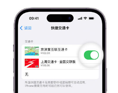 安次apple维修点分享iPhone上更换Apple Pay快捷交通卡手绘卡面 