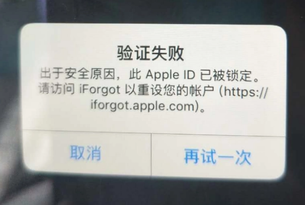 安次iPhone维修分享iPhone上正常登录或使用AppleID怎么办 