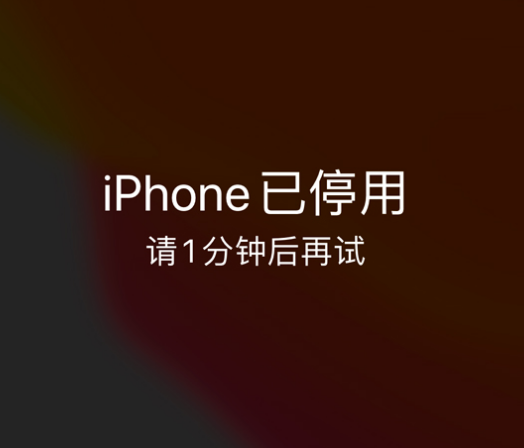 安次苹果手机维修分享:iPhone 显示“不可用”或“已停用”怎么办？还能保留数据吗？ 