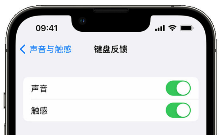 安次苹果手机维修分享iPhone 14触感键盘使用方法 