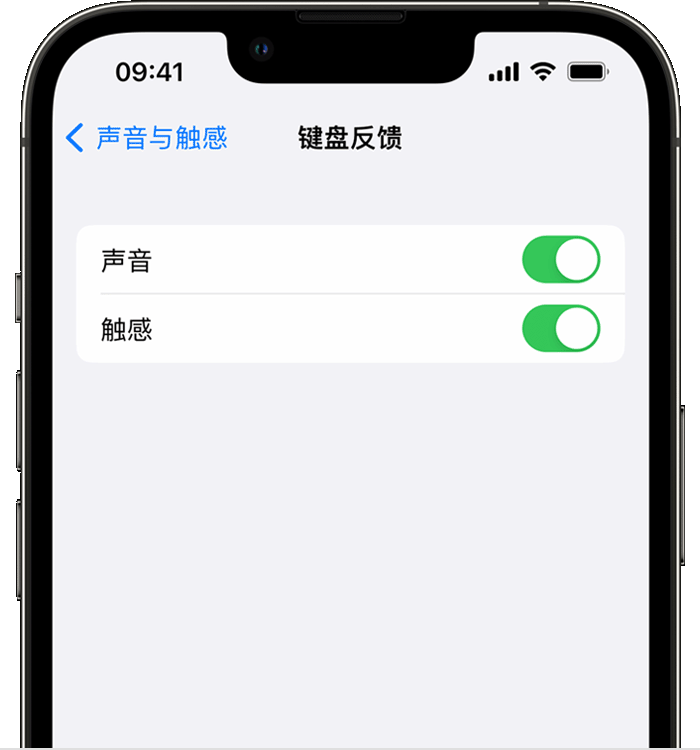 安次苹果14维修店分享如何在 iPhone 14 机型中使用触感键盘 