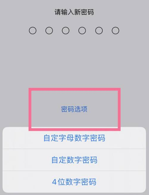 安次苹果14维修分享iPhone 14plus设置密码的方法 