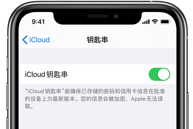 安次苹果手机维修分享在 iPhone 上开启 iCloud 钥匙串之后会储存哪些信息 