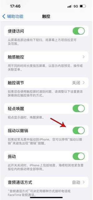安次苹果手机维修分享iPhone手机如何设置摇一摇删除文字 
